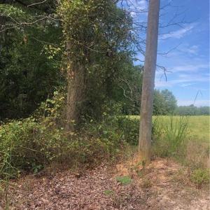 Photo #3 of 5875 Irish Potato, Kannapolis, NC 90.0 acres