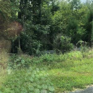 Photo #4 of 5875 Irish Potato, Kannapolis, NC 90.0 acres