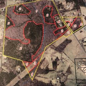 Photo #2 of 5875 Irish Potato, Kannapolis, NC 90.0 acres