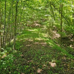 Photo #5 of Gladys Road, Altavista, VA 4.9 acres