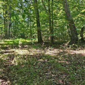 Photo #7 of Gladys Road, Altavista, VA 4.9 acres