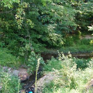 Photo #7 of Felix Road, Nathalie, VA 9.3 acres