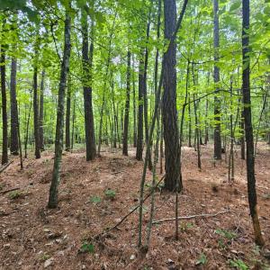 Photo #34 of West James Anderson Hwy, Gladstone, VA 100.0 acres