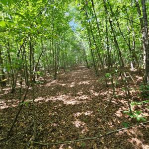 Photo #26 of West James Anderson Hwy, Gladstone, VA 100.0 acres