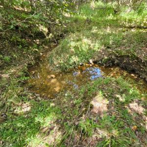Photo #15 of West James Anderson Hwy, Gladstone, VA 100.0 acres