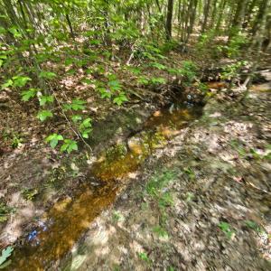 Photo #27 of West James Anderson Hwy, Gladstone, VA 100.0 acres