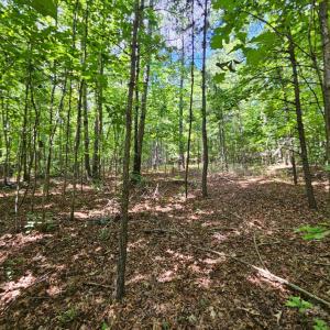 Photo #19 of West James Anderson Hwy, Gladstone, VA 100.0 acres