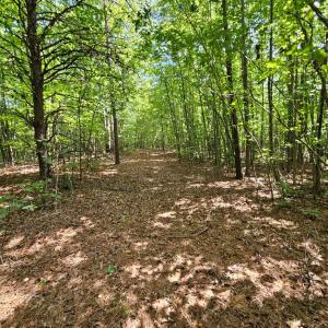 Photo #10 of West James Anderson Hwy, Gladstone, VA 100.0 acres