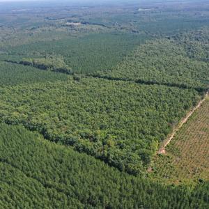Photo #1 of West James Anderson Hwy, Gladstone, VA 100.0 acres
