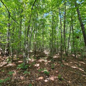 Photo #24 of West James Anderson Hwy, Gladstone, VA 100.0 acres