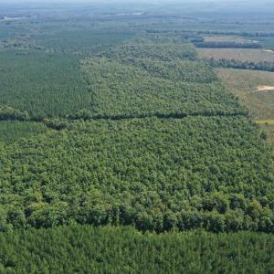 Photo #29 of West James Anderson Hwy, Gladstone, VA 100.0 acres