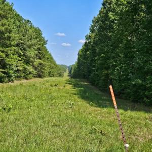 Photo #28 of West James Anderson Hwy, Gladstone, VA 100.0 acres