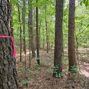 Photo #11 of West James Anderson Hwy, Gladstone, VA 100.0 acres