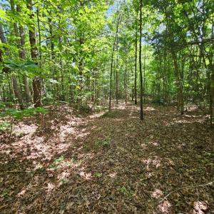 Photo #18 of West James Anderson Hwy, Gladstone, VA 100.0 acres