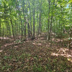 Photo #16 of West James Anderson Hwy, Gladstone, VA 100.0 acres