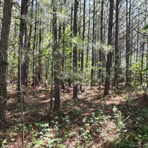 Photo #1 of West Gretna Road, Gretna, VA 258.0 acres