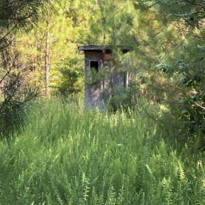 Photo #3 of West Gretna Road, Gretna, VA 258.0 acres