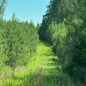 Photo #2 of West Gretna Road, Gretna, VA 258.0 acres