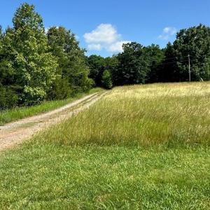 Photo #4 of West Gretna Road, Gretna, VA 258.0 acres
