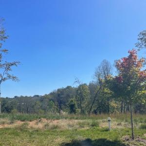 Photo #1 of 922 Elmwood Avenue, Lynchburg, VA 0.2 acres