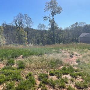Photo #2 of 922 Elmwood Avenue, Lynchburg, VA 0.2 acres