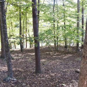 Photo #11 of Heron Pointe Drive, Gretna, VA 1.1 acres