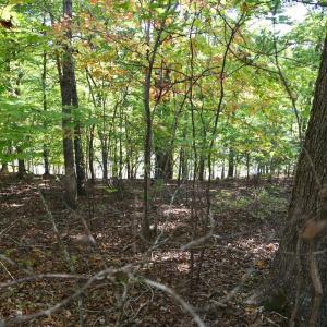 Photo #18 of Heron Pointe Drive, Gretna, VA 1.1 acres