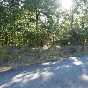 Photo #19 of Heron Pointe Drive, Gretna, VA 1.1 acres
