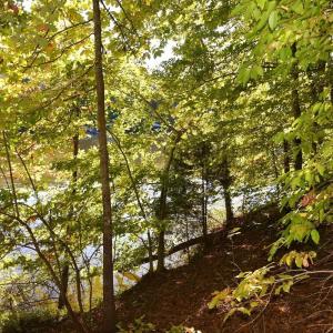 Photo #13 of Heron Pointe Drive, Gretna, VA 1.1 acres