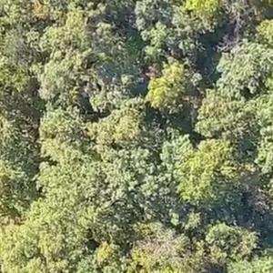 Photo #20 of Heron Pointe Drive, Gretna, VA 1.1 acres
