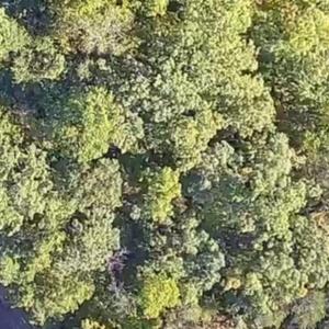 Photo #21 of Heron Pointe Drive, Gretna, VA 1.1 acres