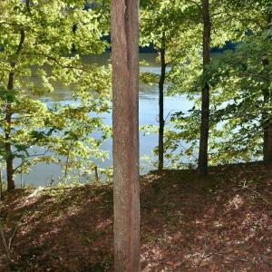 Photo #9 of Heron Pointe Drive, Gretna, VA 1.1 acres