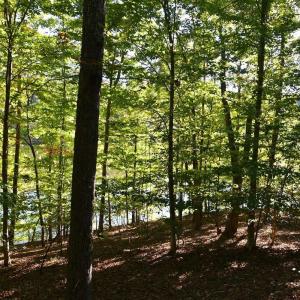 Photo #17 of Heron Pointe Drive, Gretna, VA 1.1 acres