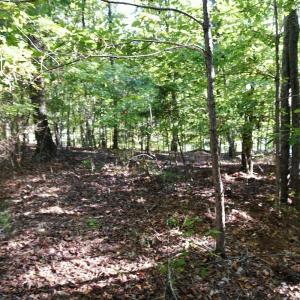 Photo #10 of Heron Pointe Drive, Gretna, VA 1.1 acres