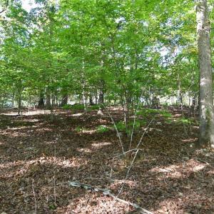 Photo #16 of Heron Pointe Drive, Gretna, VA 1.1 acres