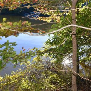 Photo #8 of Heron Pointe Drive, Gretna, VA 1.1 acres