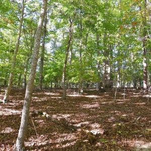 Photo #15 of Heron Pointe Drive, Gretna, VA 1.1 acres