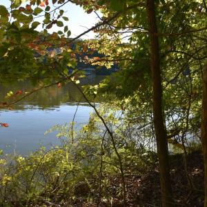Photo #7 of Heron Pointe Drive, Gretna, VA 1.1 acres