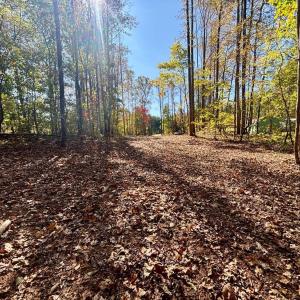 Photo #7 of Locust Drive, Cascade, VA 0.9 acres