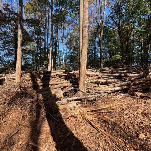 Photo #6 of Locust Drive, Cascade, VA 0.9 acres