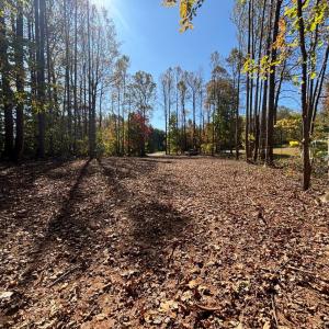 Photo #8 of Locust Drive, Cascade, VA 0.9 acres