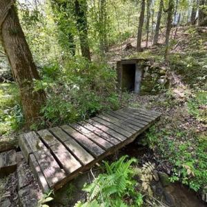 Photo #8 of Mountain Ridge Road, Glade Hill, VA 78.9 acres