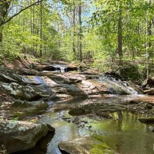Photo #6 of Mountain Ridge Road, Glade Hill, VA 78.9 acres