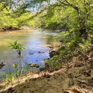 Photo #4 of Mountain Ridge Road, Glade Hill, VA 78.9 acres