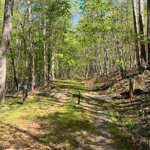 Photo #10 of Mountain Ridge Road, Glade Hill, VA 78.9 acres
