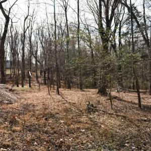 Photo #15 of Cottontown Road, Forest, VA 10.1 acres