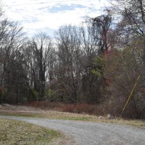 Photo #7 of Cottontown Road, Forest, VA 10.1 acres