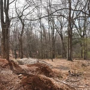 Photo #14 of Cottontown Road, Forest, VA 10.1 acres