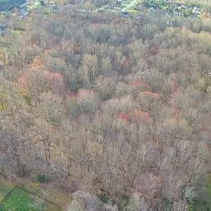 Photo #5 of Cottontown Road, Forest, VA 10.1 acres