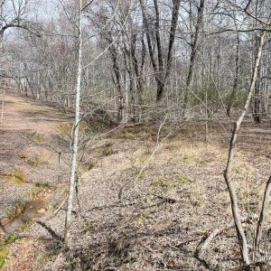 Photo #10 of Cottontown Road, Forest, VA 10.1 acres